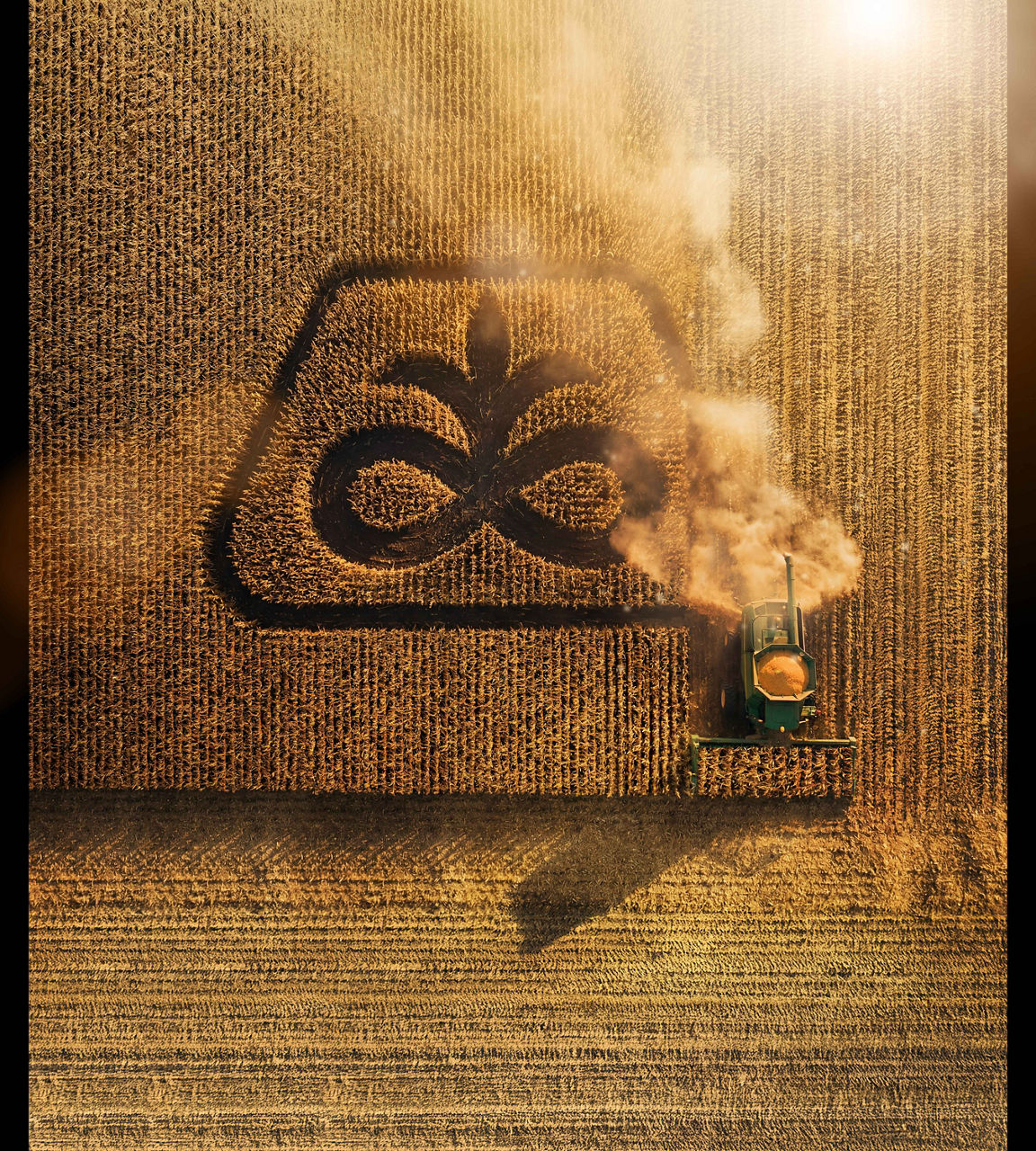 Pioneer® brand Corn: Bred to Deliver Innovation. Bag after Bag.