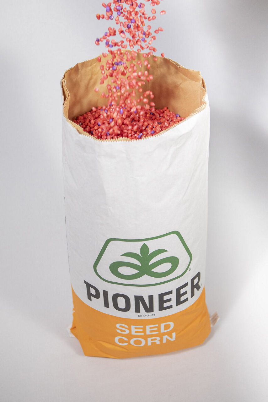 Pioneer corn seed treatment