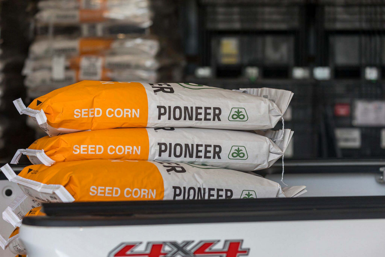 The #1 Corn Seed Brand
