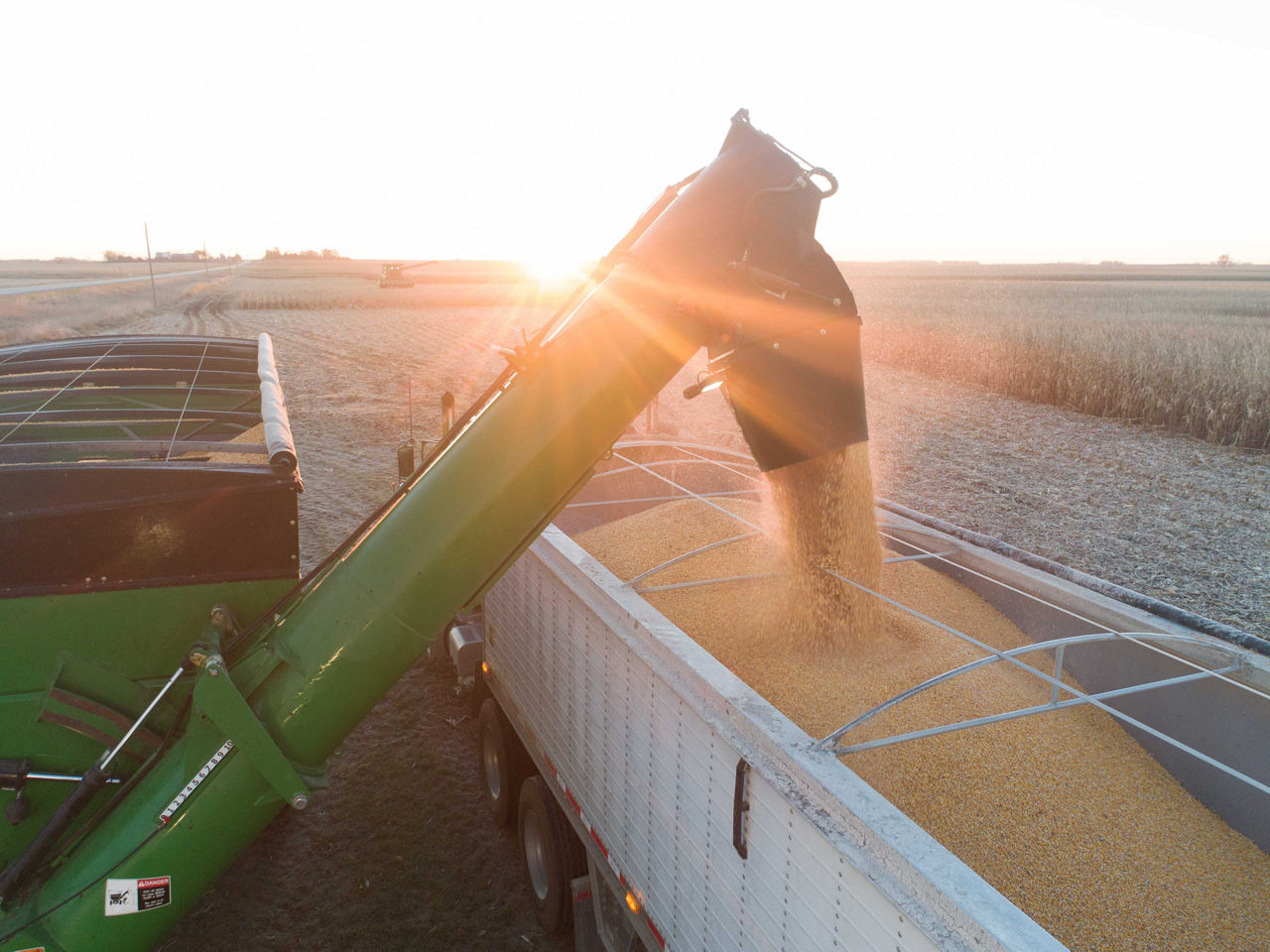 Timing Corn Harvest