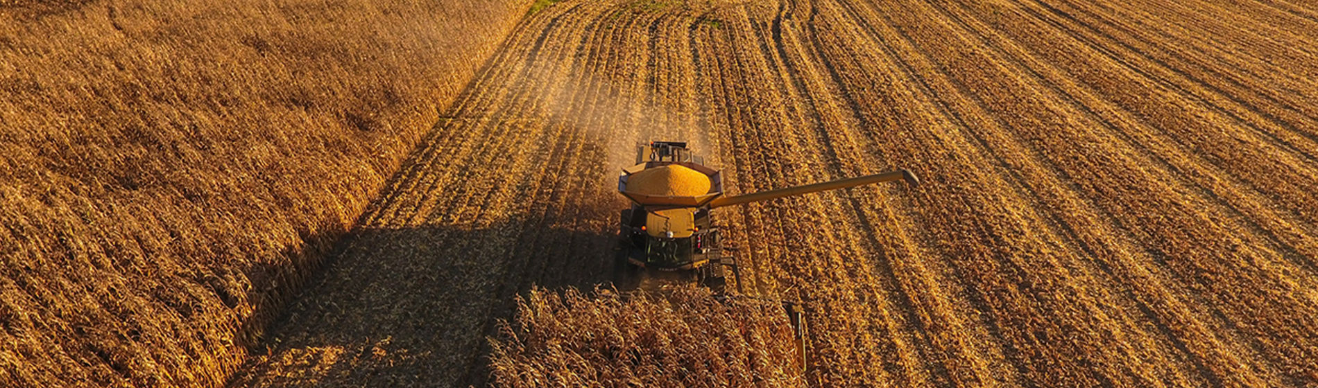 Cambio climático, meteorología y agricultura sostenible