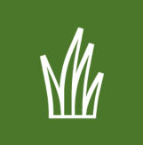 Grass icon
