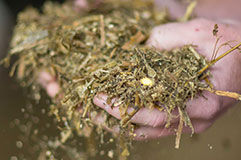 Reduced Ration Cost