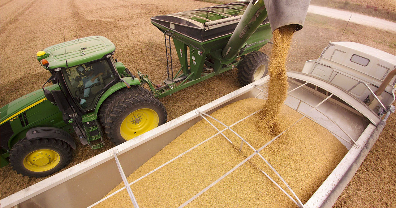 Timing Corn Harvest