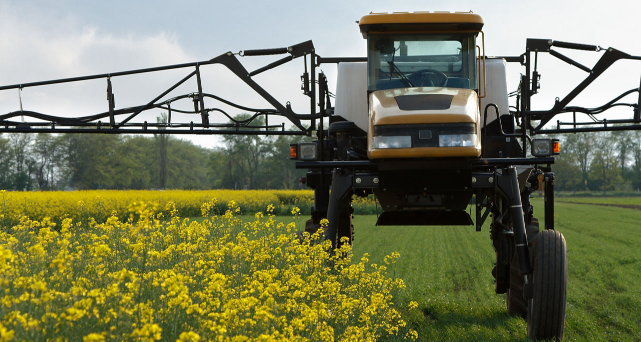 High clearance sprayer going over canola