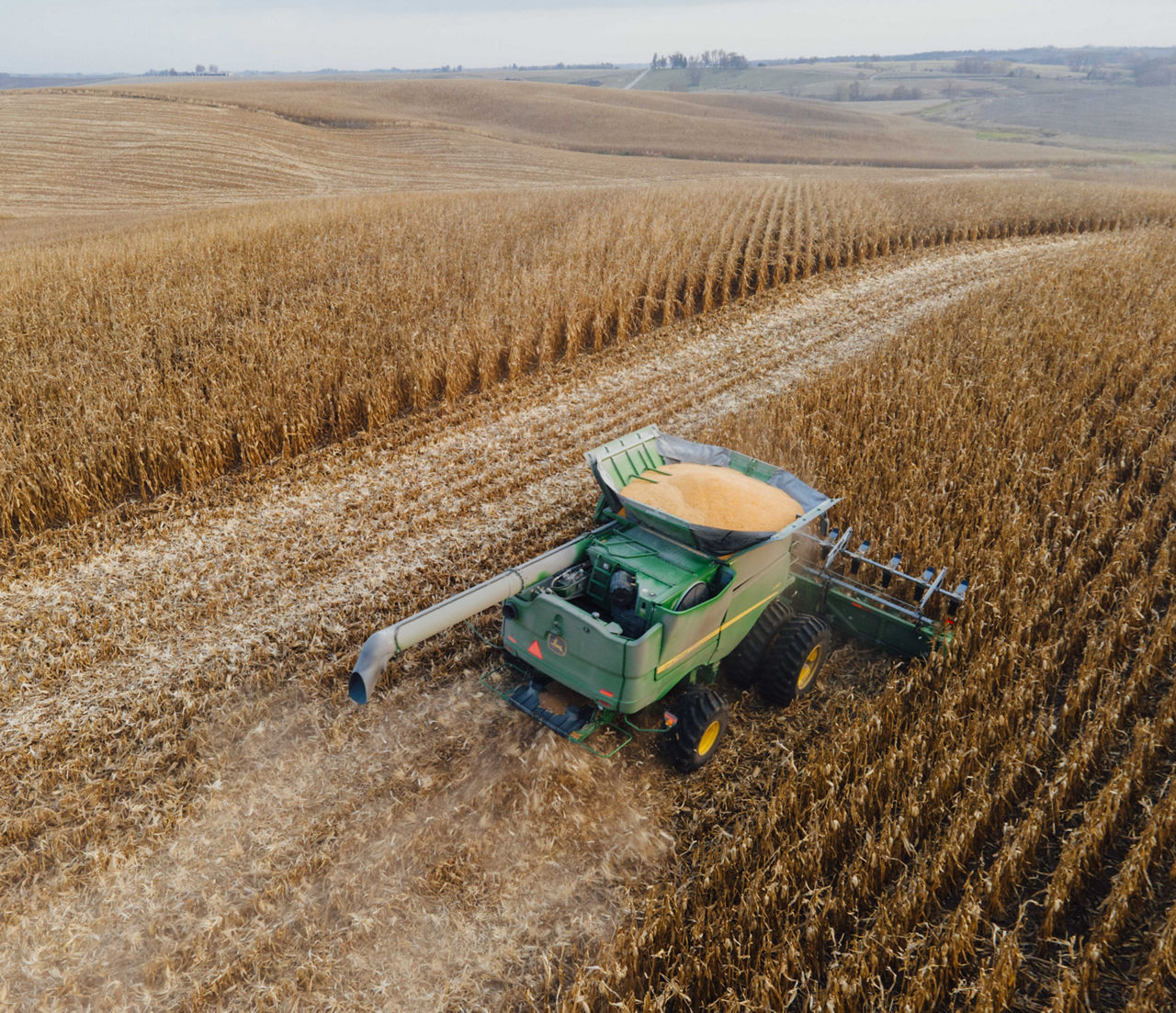 The 100th Harvest