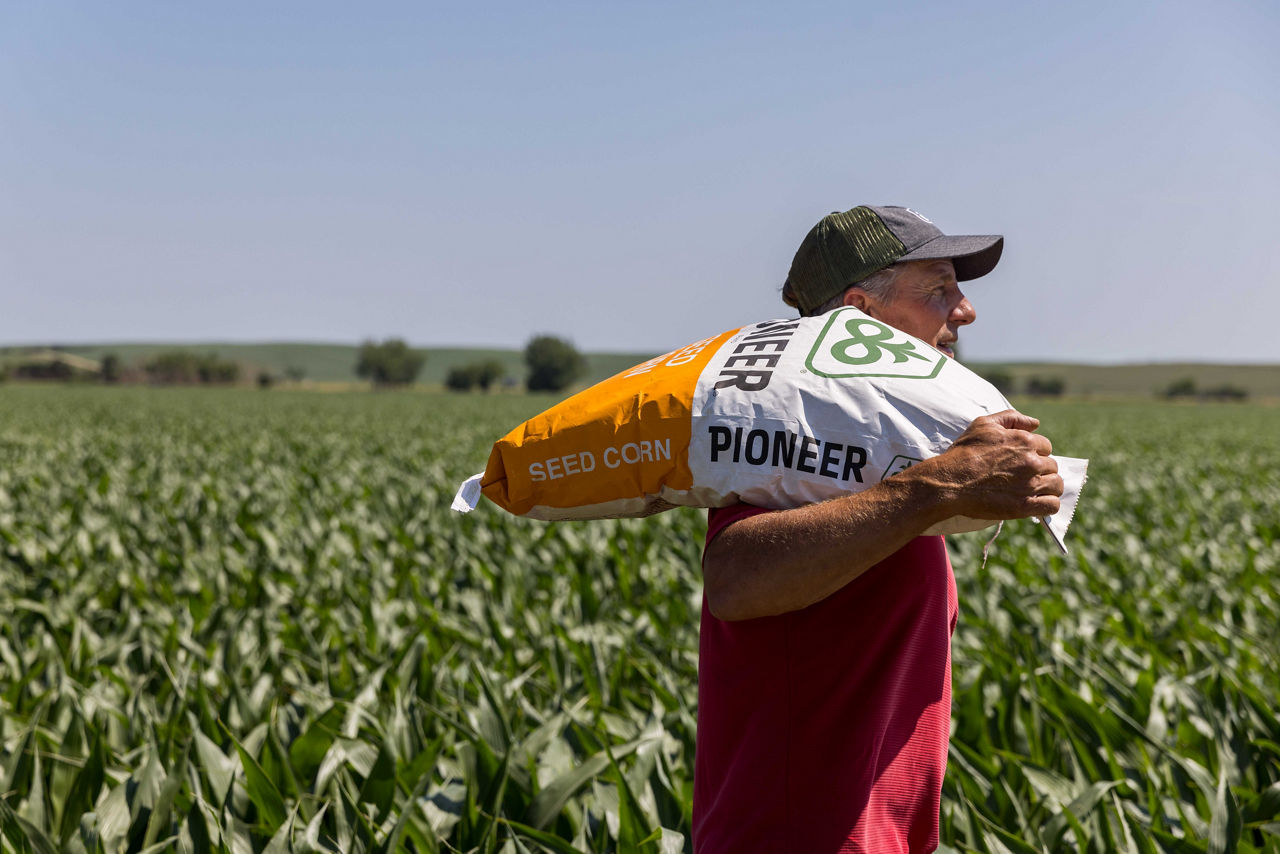 Pioneer Agronomy