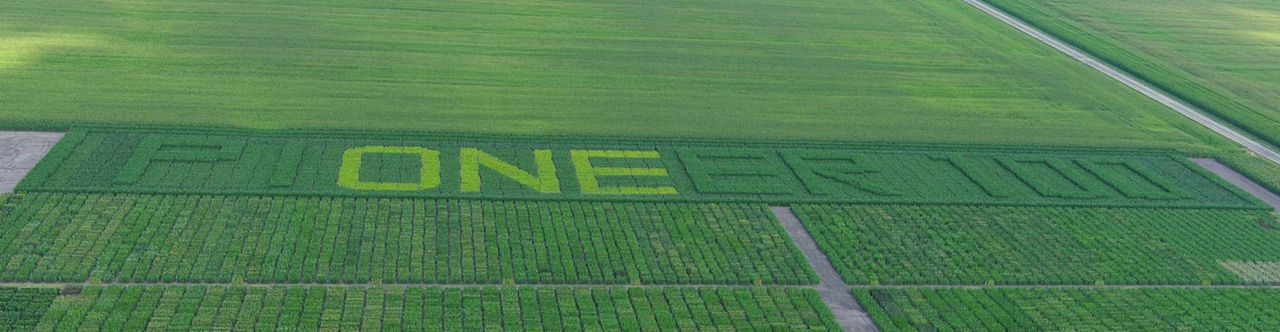 Photo from Pioneer Macomb Research Facility in Adair, IL