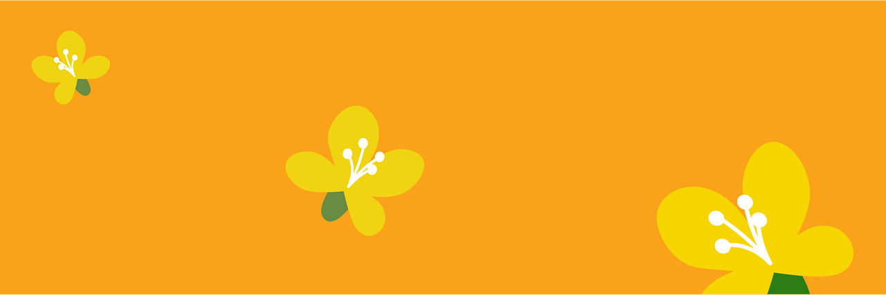 canola flower decorative image