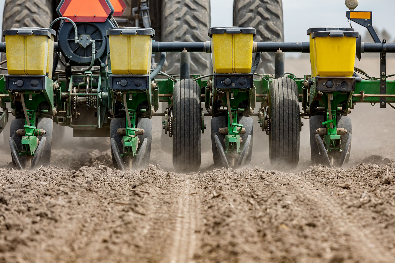 Planter accross dirt
