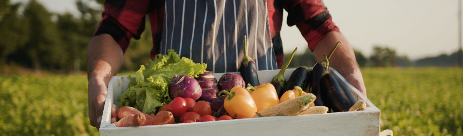 La alimentación y las experiencias gastronómicas