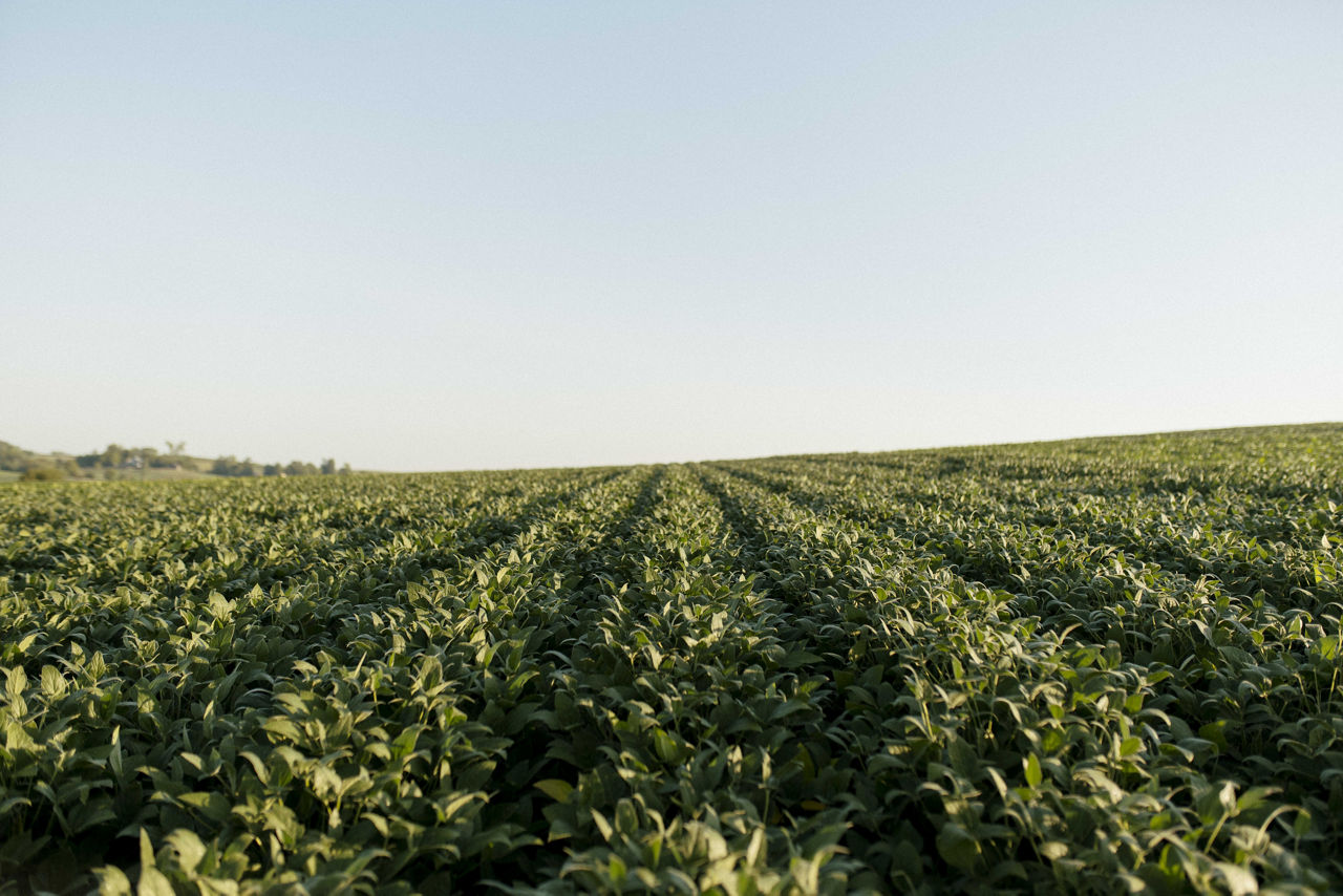 Missouri - Pioneer 2027 Product Guide