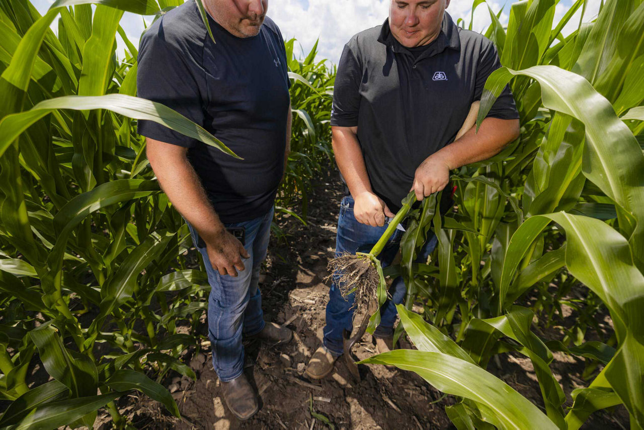 Analyzing Harvest Data