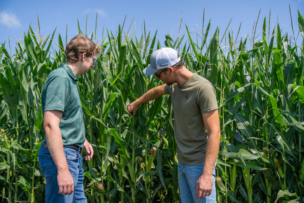 Analyzing Harvest Data