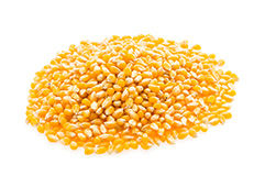 Seed Rate