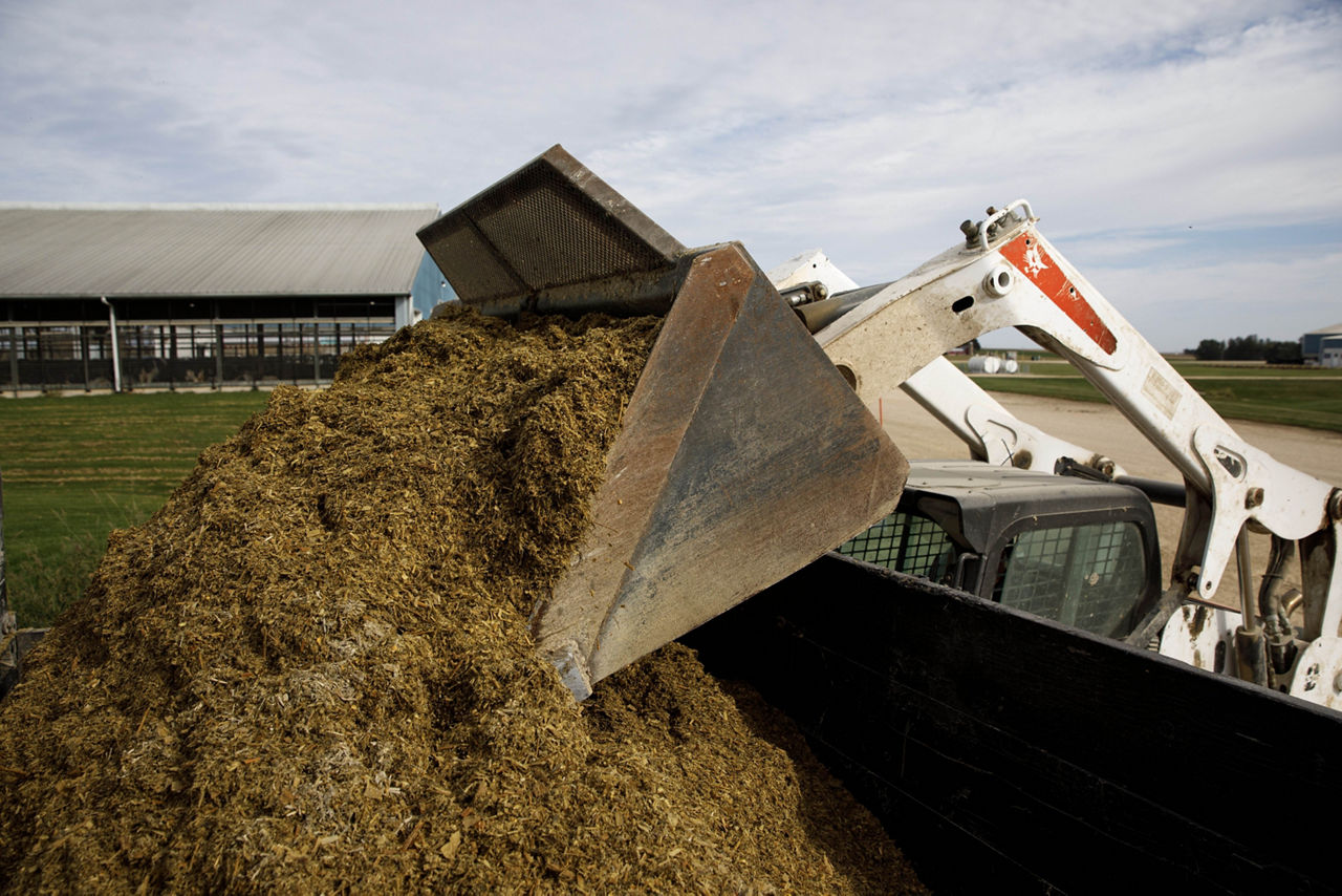 Photo - machine unloading silage intio outdoor storage bin