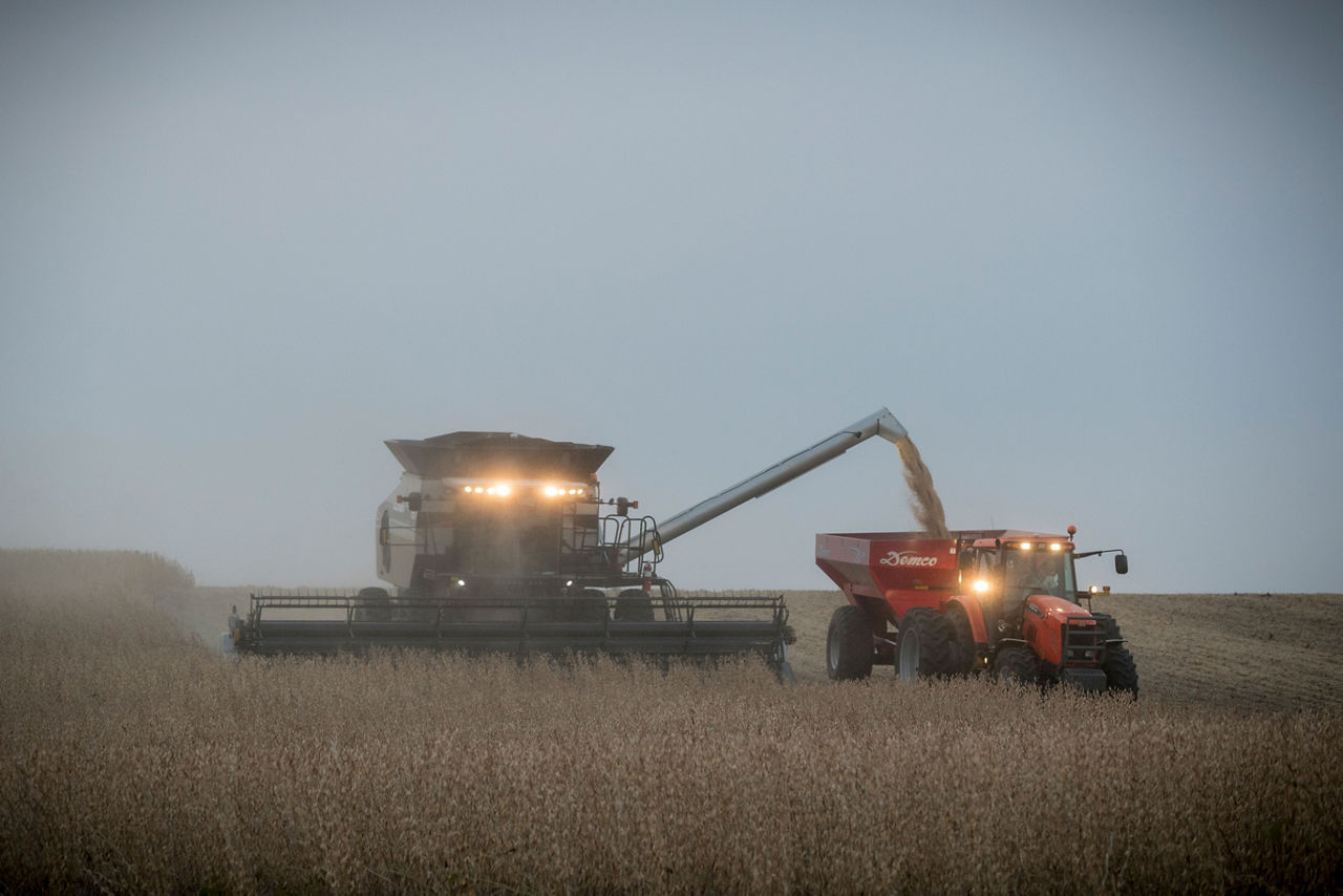 Soybean harvest operation - dusk