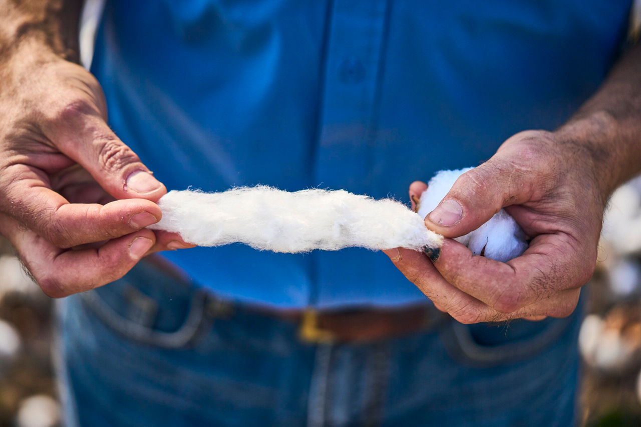 holding cotton in hands