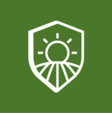 sun icon