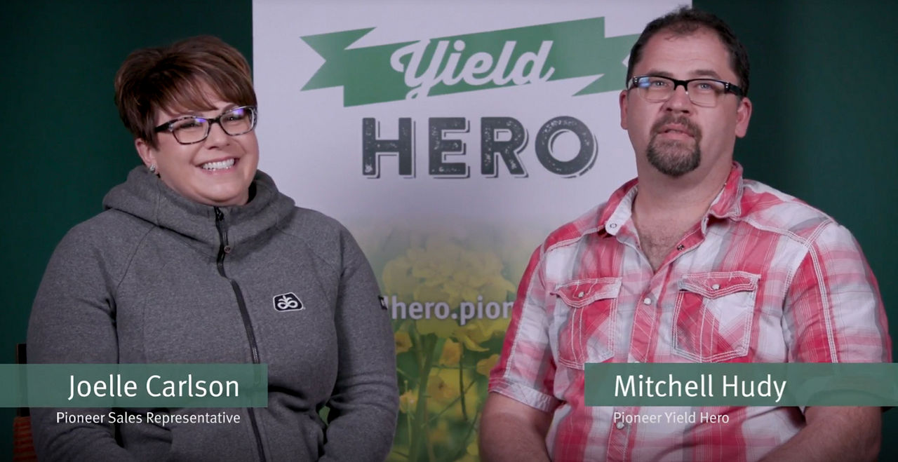 What makes a yield hero?