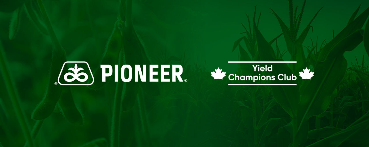 Yield Champions Club