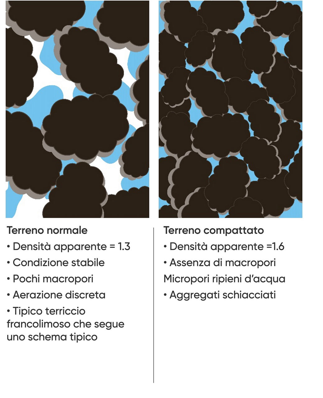 Confronto tra terreno normale e terreno compattato