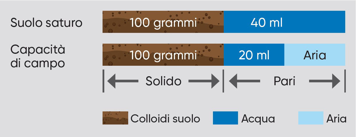 Volumi di acqua e aria nei pori del suolo a saturazione e a capacità di campo