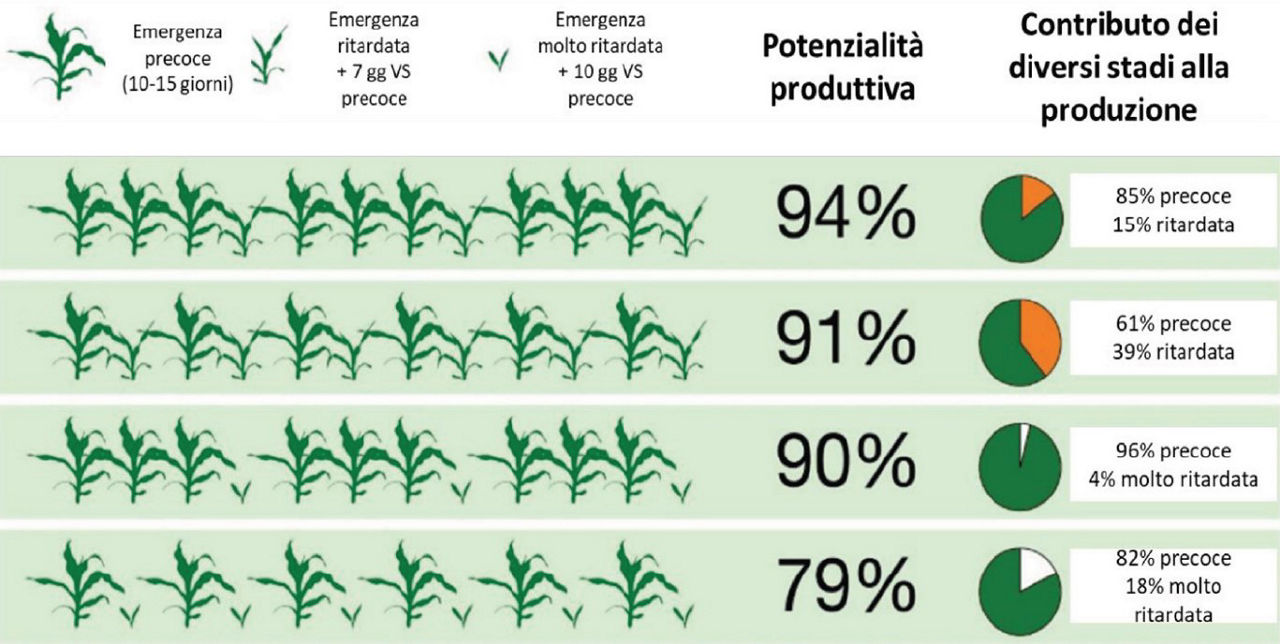 infografica sulla relazione tra difformità di emergenza e potenziale produttivo