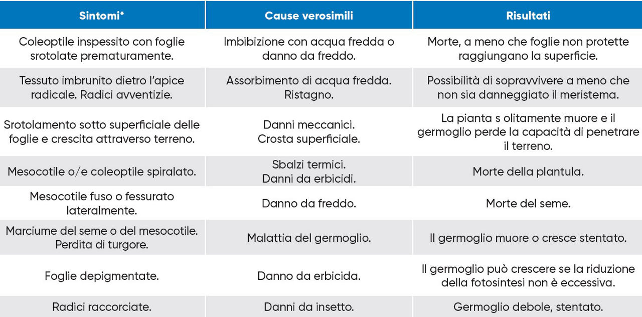 tabella riassuntiva dei possibili sintomi dei danni sui germinelli