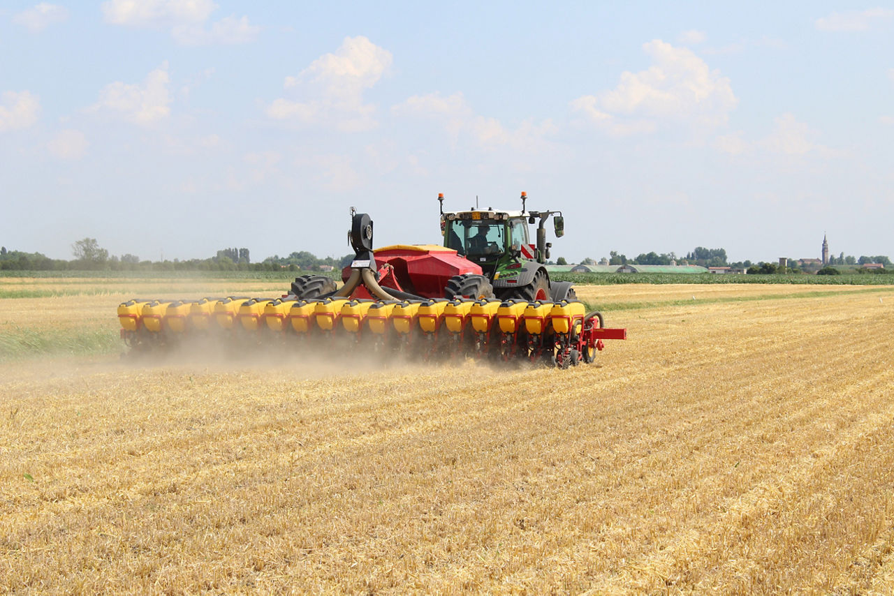 Semina della soia in secondo raccolto