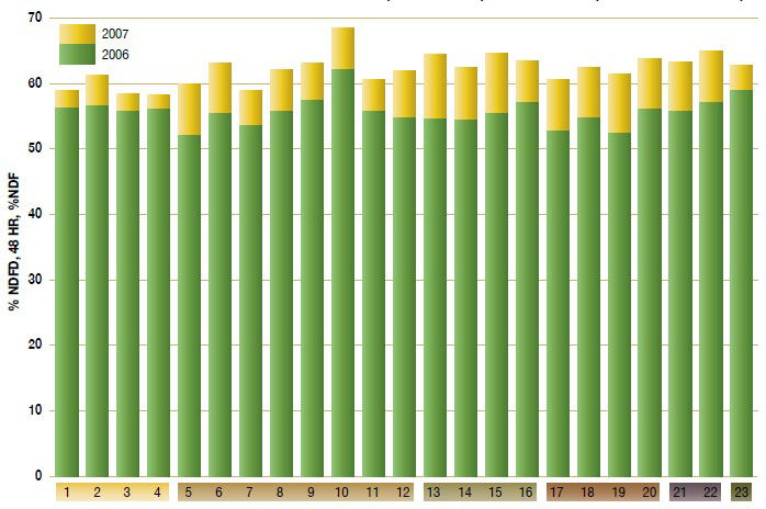Effetto ambientale sulla digeribilità degli stessi ibridi di mais coltivati negli stessi ambienti ma in anni diversi