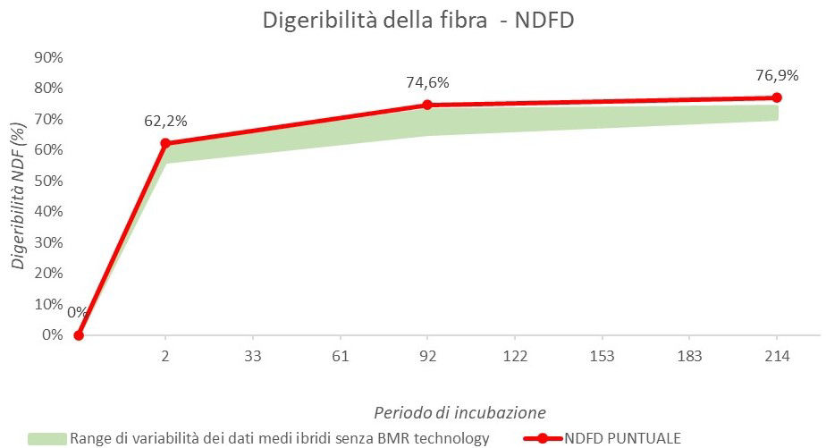 Esempio di report per la digeribilità della fibra di un campione di silomais