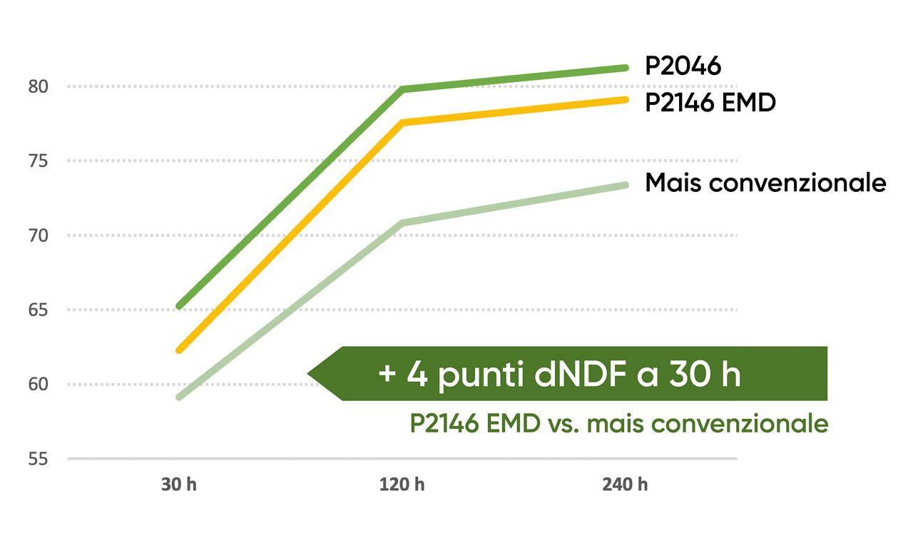 Dati analitici sui mais BMR