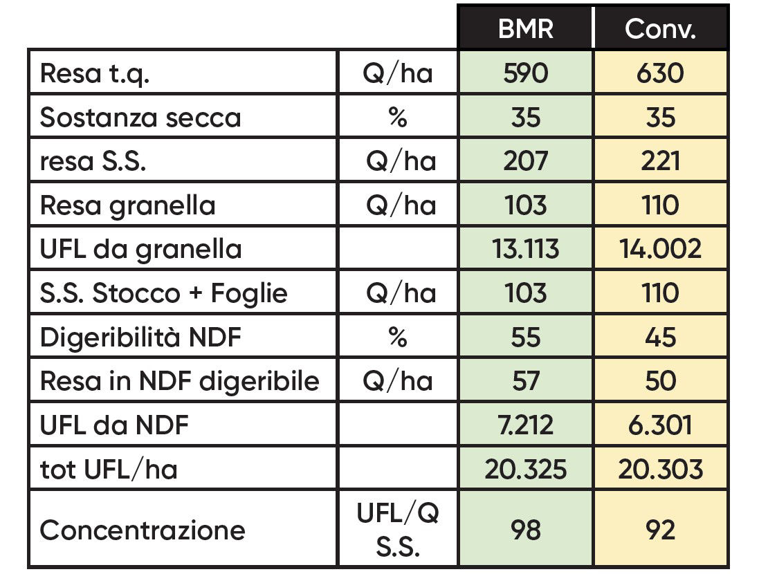 Dati analitici a confronto tra mais BMR e mais convenzionale