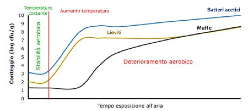 Dinamica microbica durante il deterioramento aerobico