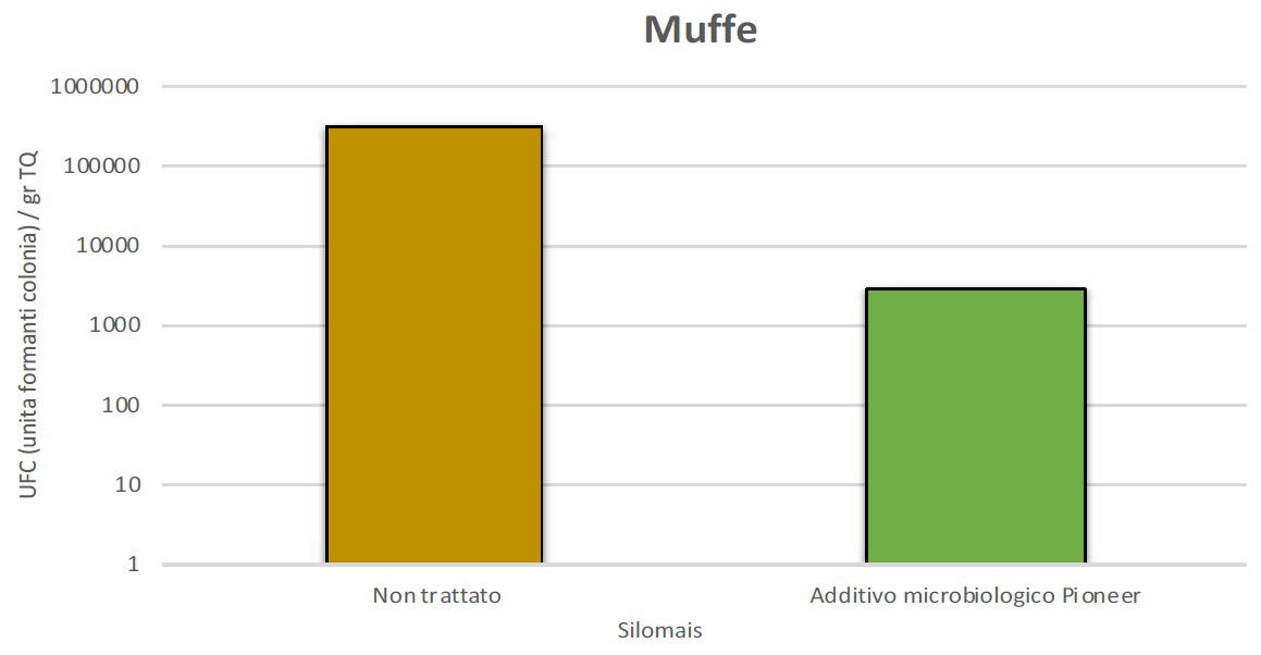 Negli insilati trattati con gli additivi microbiologici di Pioneer, la presenza di muffe è mediamente 100 volte inferiore rispetto al controllo.