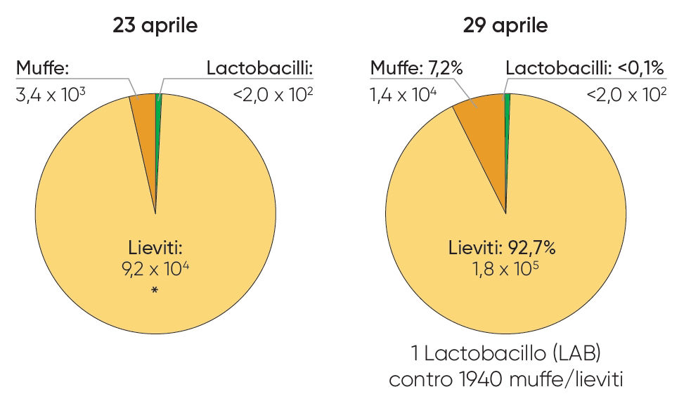 Grafico con i due scenari previsionali
