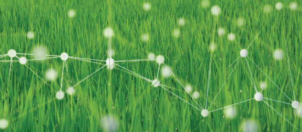 Agricultura-Big-Data