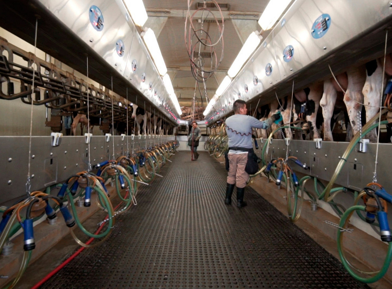 Lawnel family milking parlor