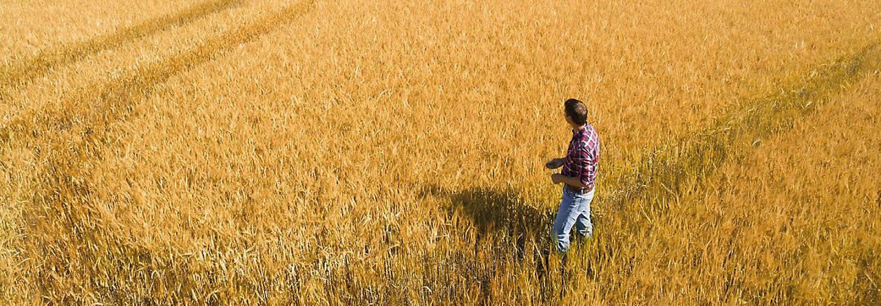 Field walking