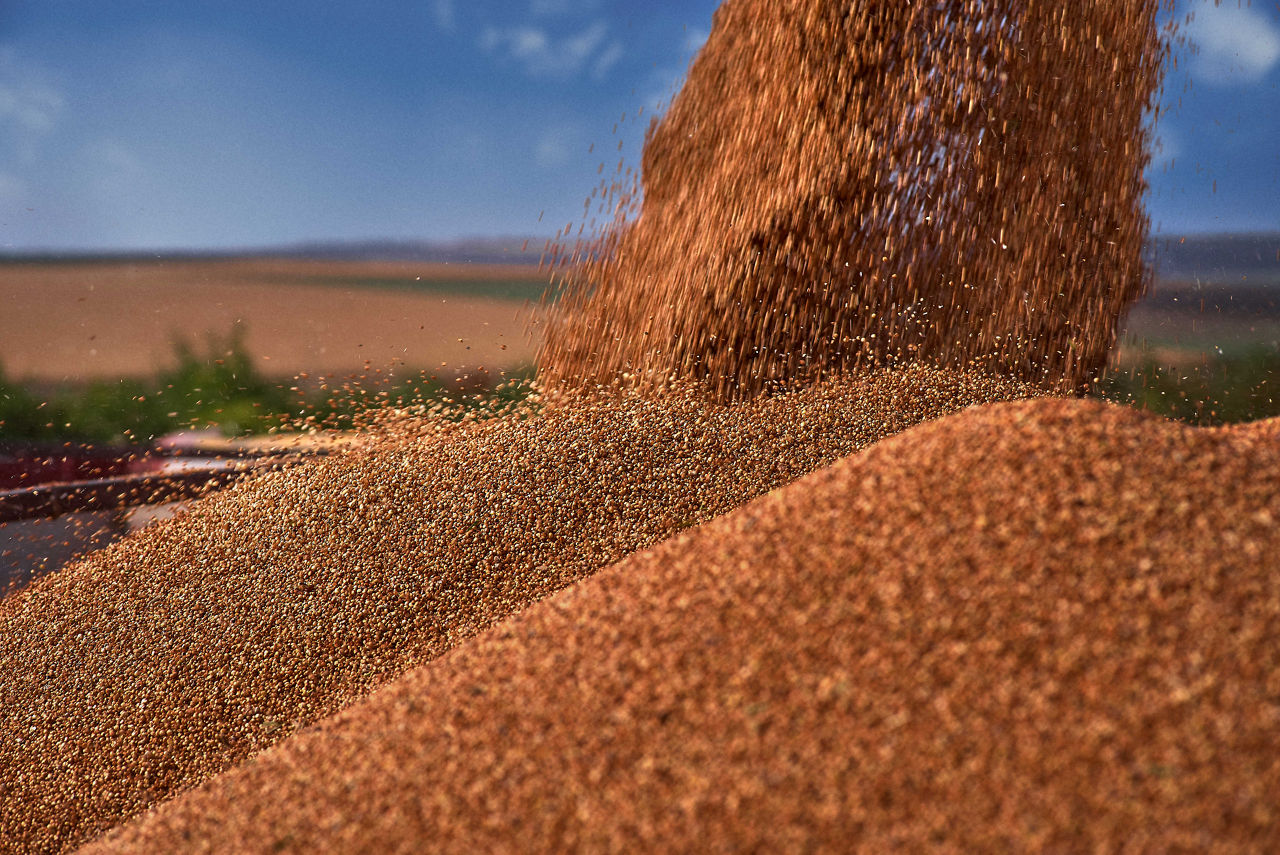 Produtos Sorgo Brevant