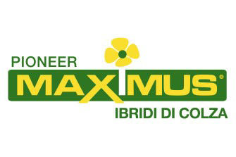 Logo Maximus