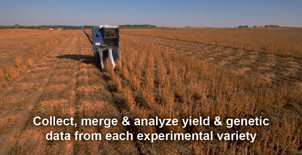 Research Harvest Plot Maps