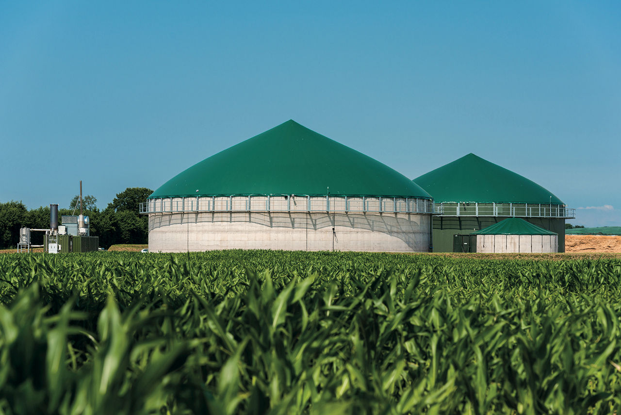Analisi in impianto biogas
