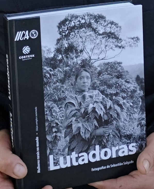 Mulheres lutadoras