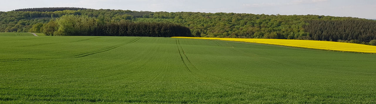 Inatreq_header_yellow_desktop