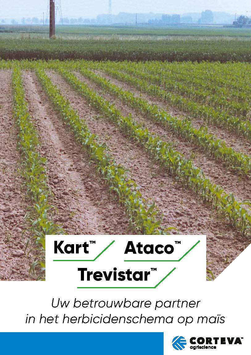 Kart in maïs