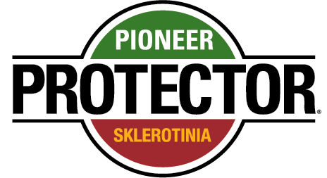 Logo Protector