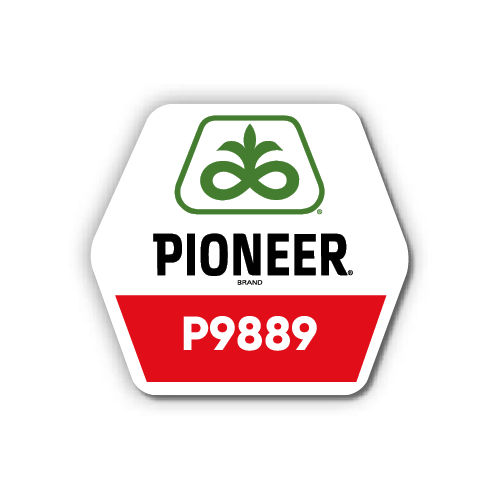 LG-P9889-Pioneer-EU_UA-V1
