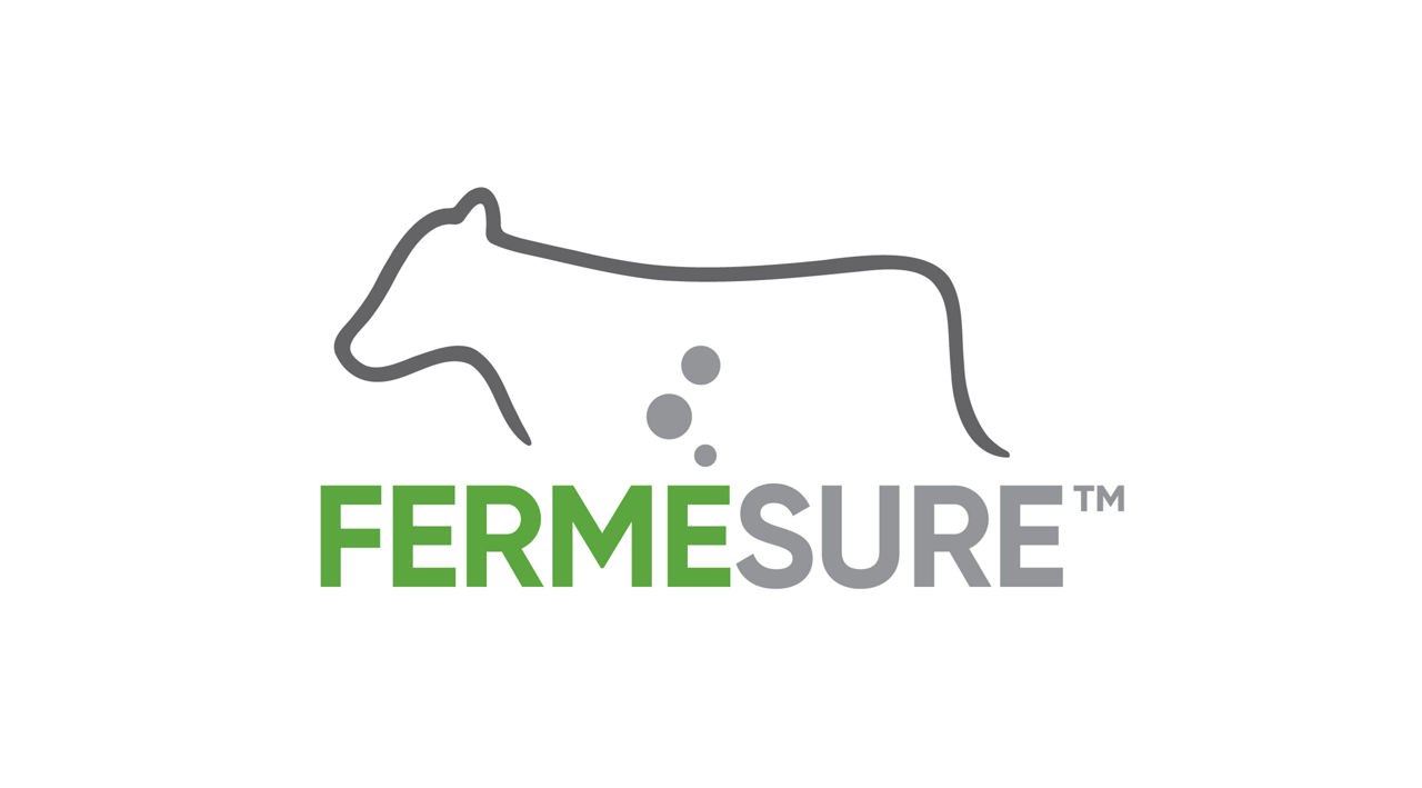 Corn Silage Management